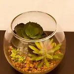 Apartment Adream
