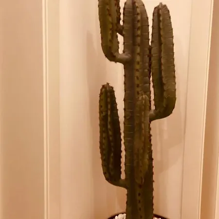 Adream Апартаменты Пескара