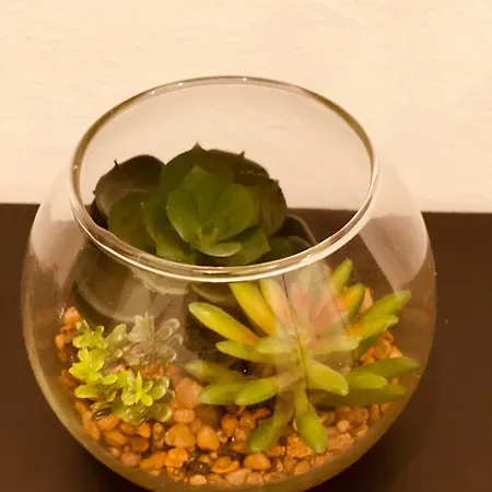 Διαμέρισμα Adream