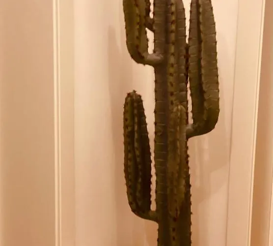 Adream Appartement Pescara